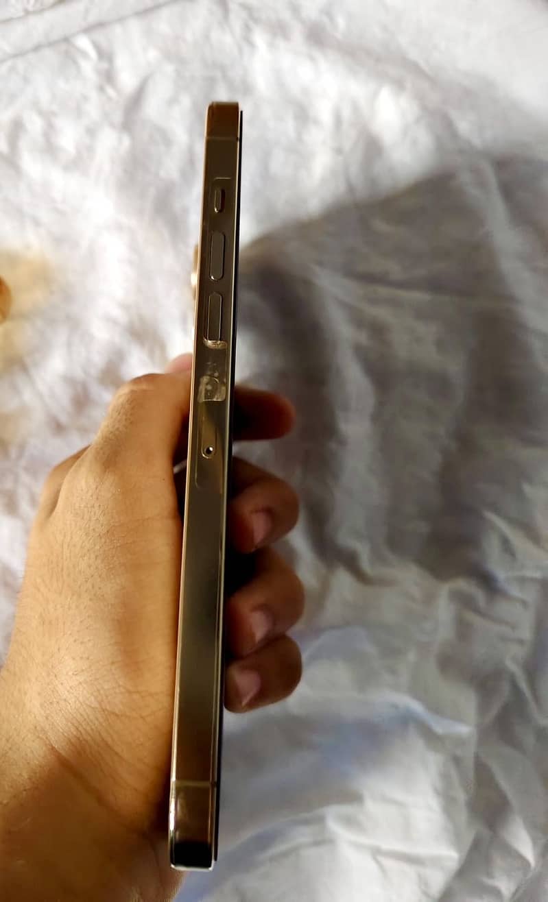 Apple iPhone 13 Pro Max 4