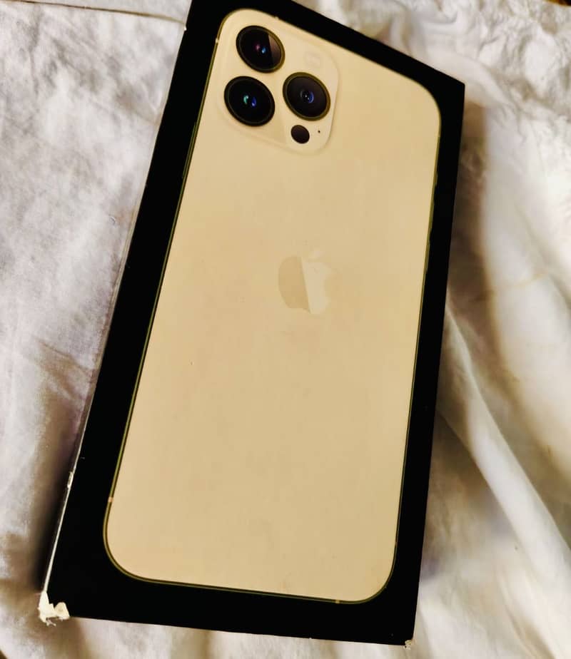 Apple iPhone 13 Pro Max 6