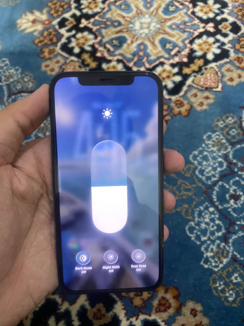 Apple iPhone 12 1