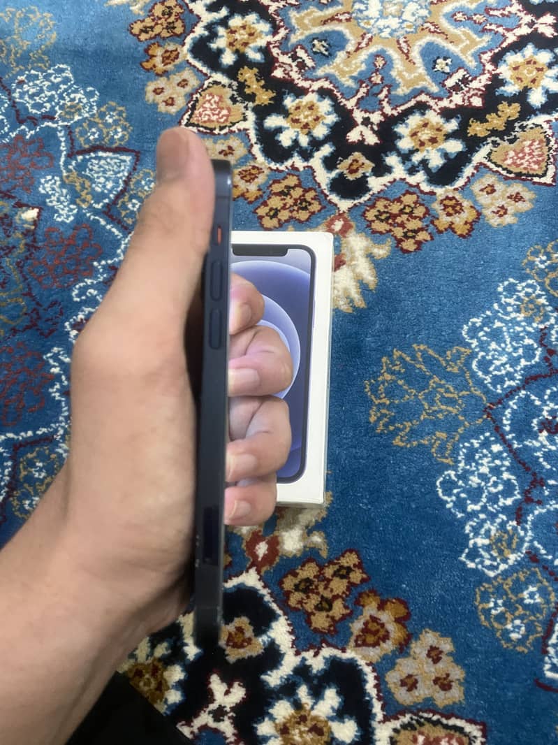 Apple iPhone 12 5