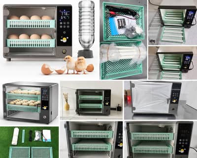 PARROTS 60 EGGS PREMIUM QUALITY AUTOMATIC INCUBATOR+BROODER DUAL POWER