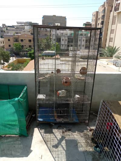parrots cage 12 portion