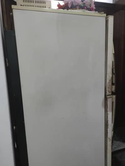 PEL Fridge for sale (full genuine)