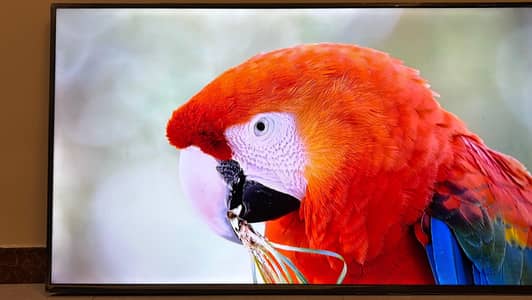 TCL SMART LED TV