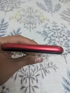 Apple iPhone 11 0