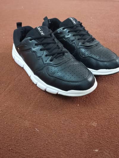 Calza Men's Sports Sneakers