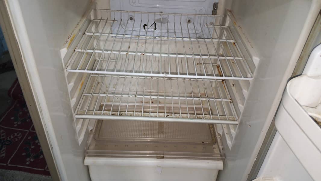 fridge 1