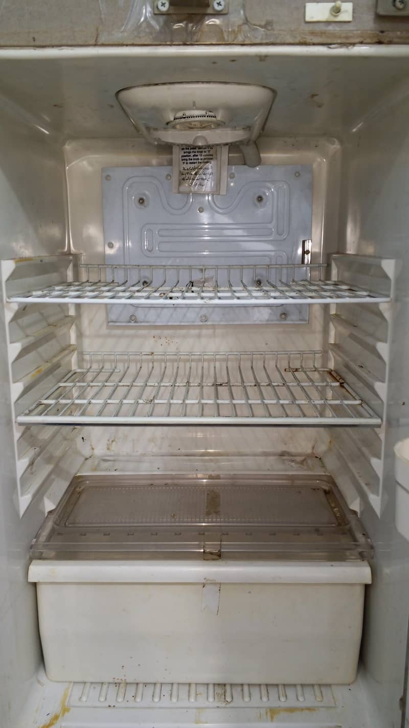 fridge 2