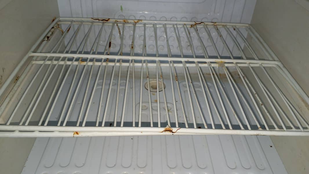 fridge 3