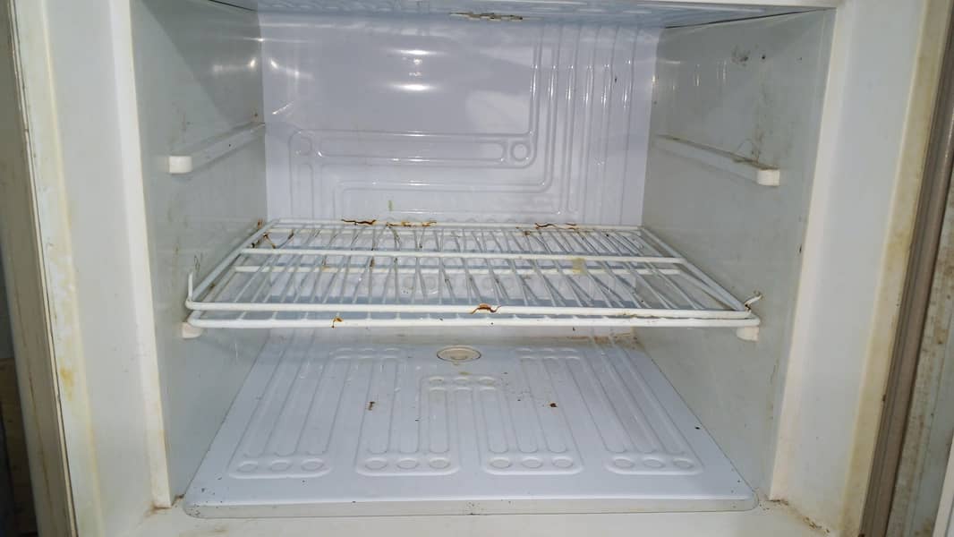 fridge 4