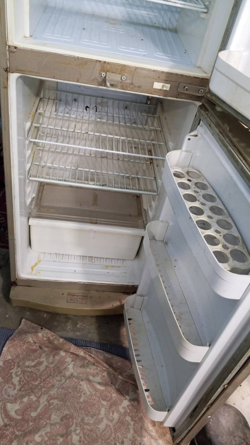 fridge 6