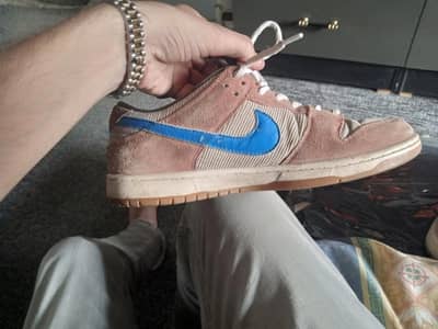 nike SB low dunk
