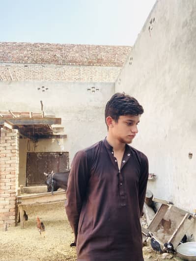 Zain Malik