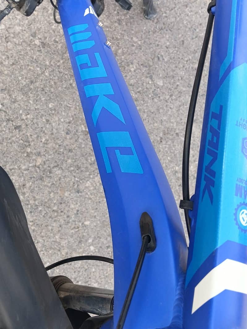 bicycle 3