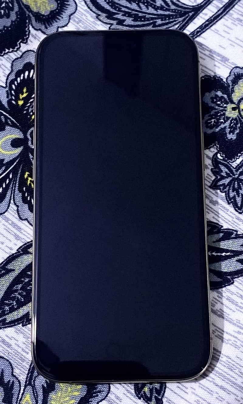 Apple iPhone 16 Pro 1