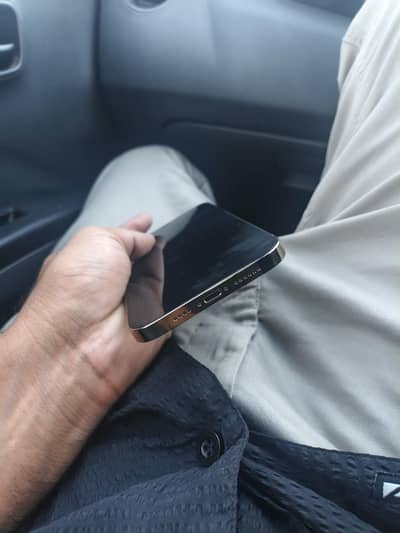 Apple iPhone 12 Pro Max