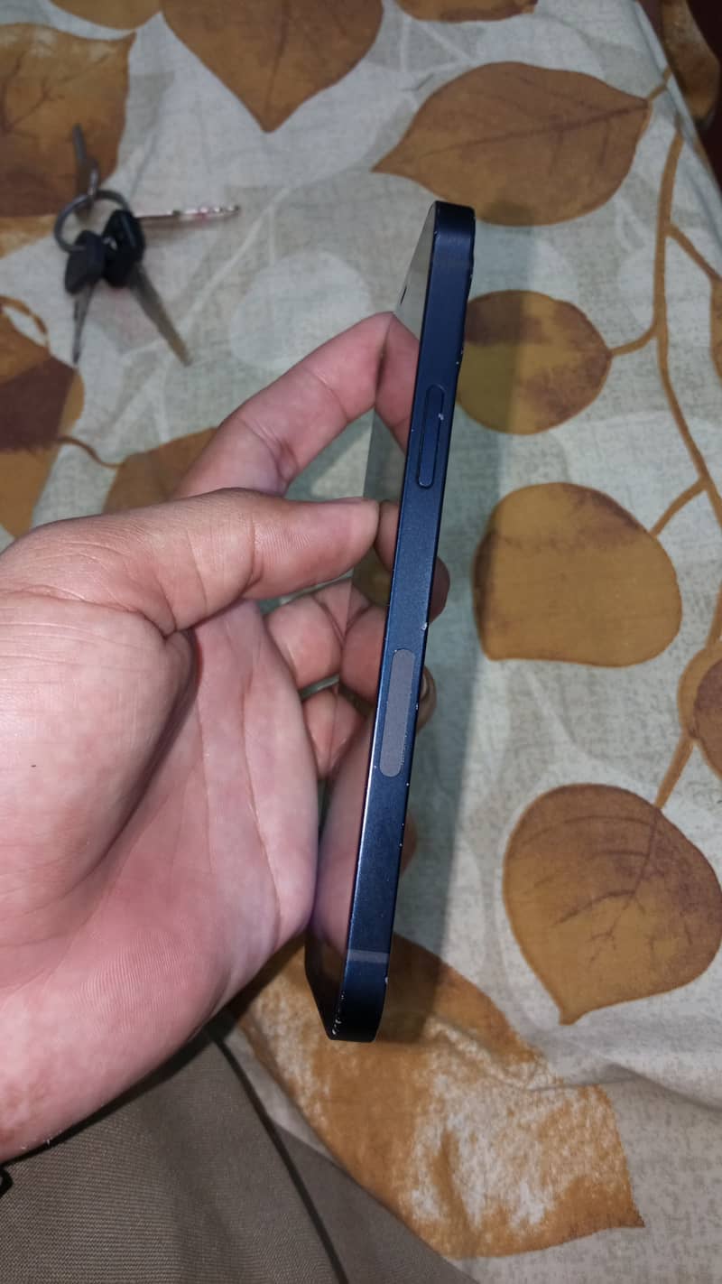 Apple iPhone 12 1