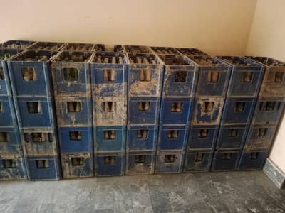 Pepsi Mix MT