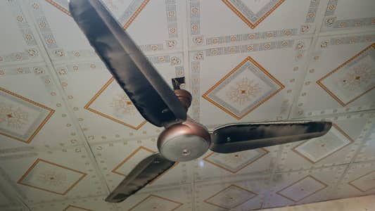 ceiling fan