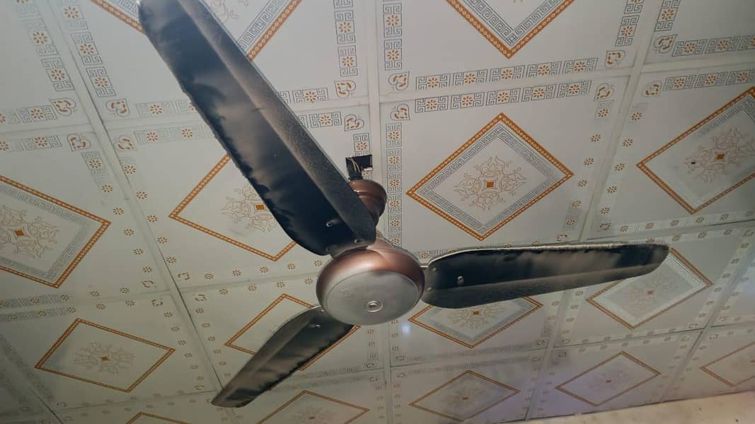 ceiling fan 0