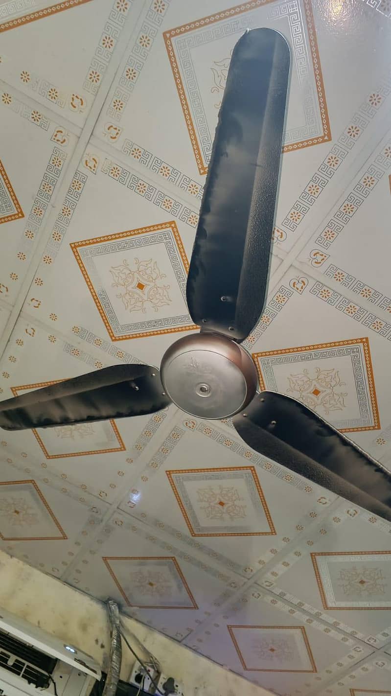 ceiling fan 1