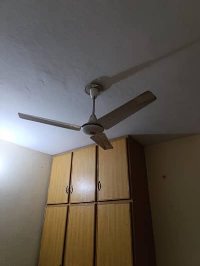 Royal and Pak fan for sale