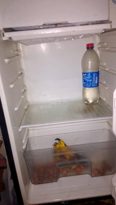 mini room siza fridge