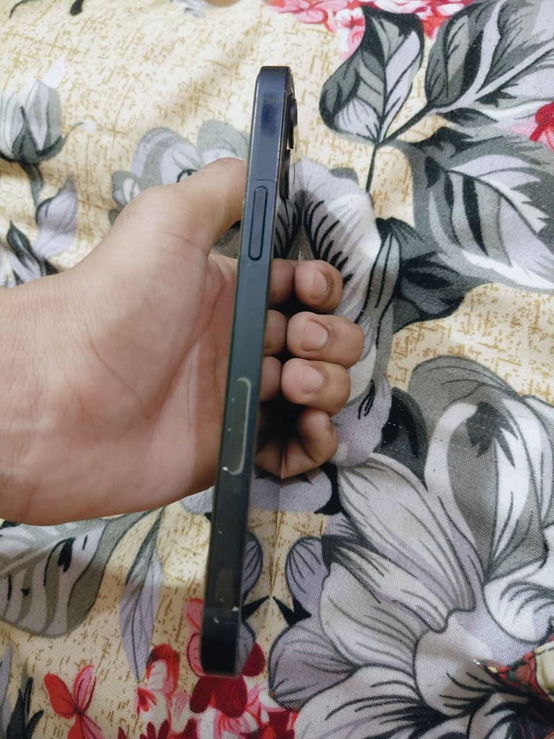 Apple iPhone 12 1