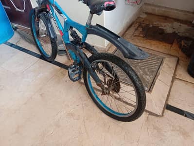 mountain bicycle