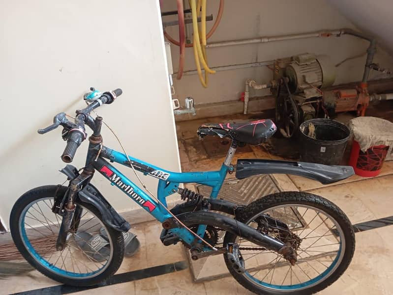 mountain bicycle 1