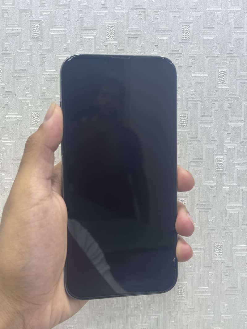 Iphone 13 pro max 1