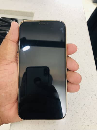 12 pro pta porved