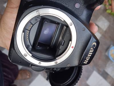 Canon 6d