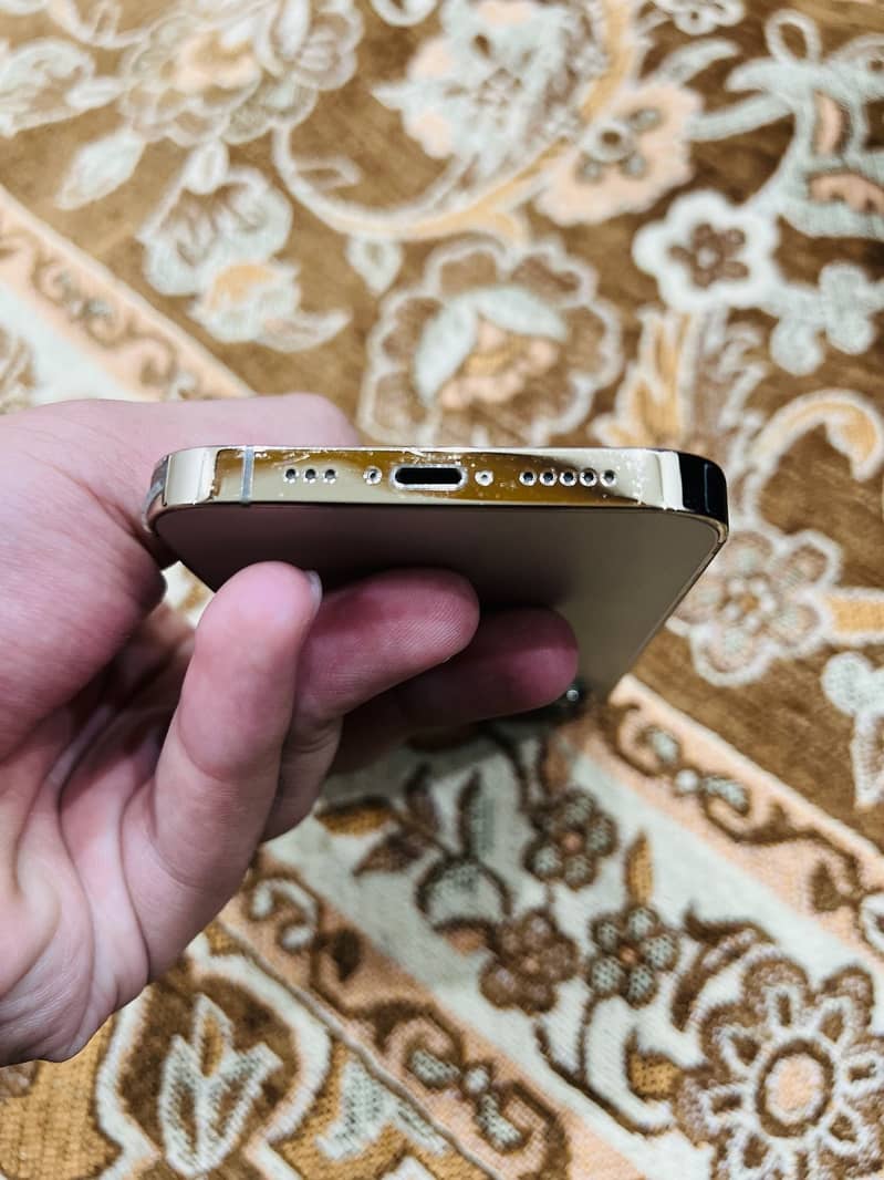 Apple iPhone 13 Pro (jv) 5