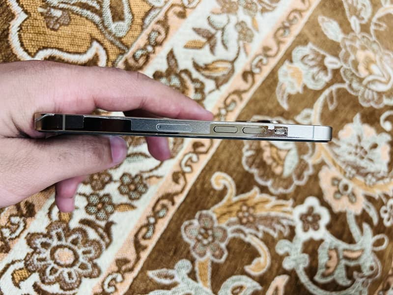 Apple iPhone 13 Pro (jv) 7