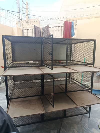 Birds Cage.
