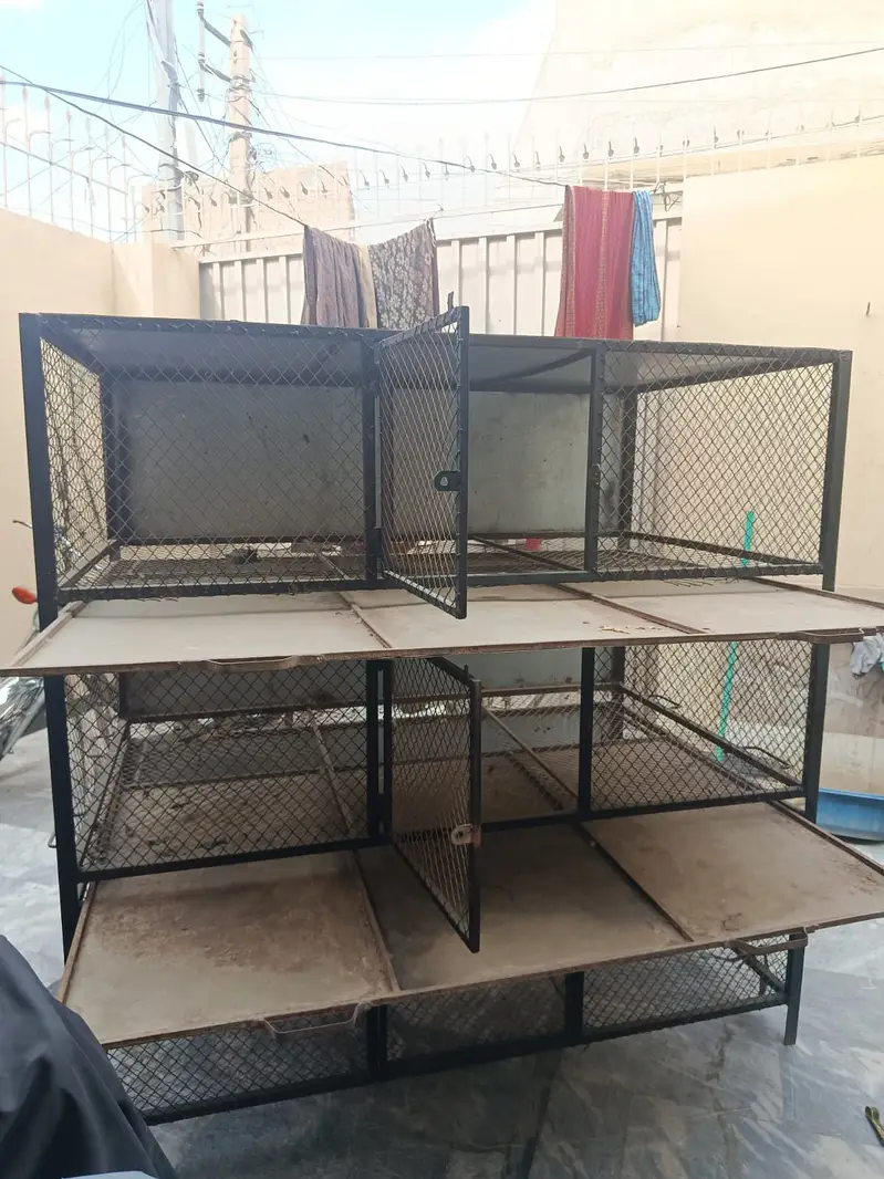 Birds Cage.