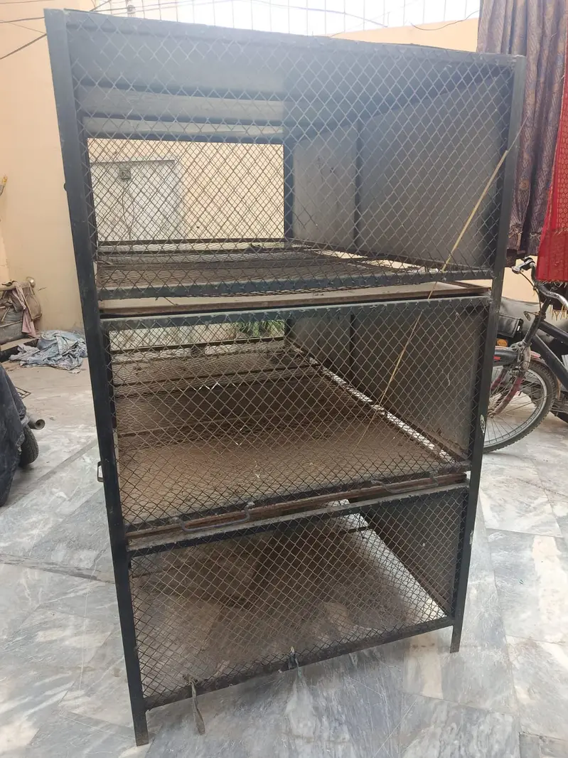 Birds Cage. — photo 6