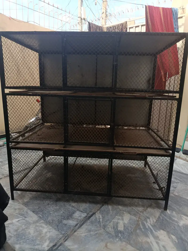 Birds Cage. — photo 8