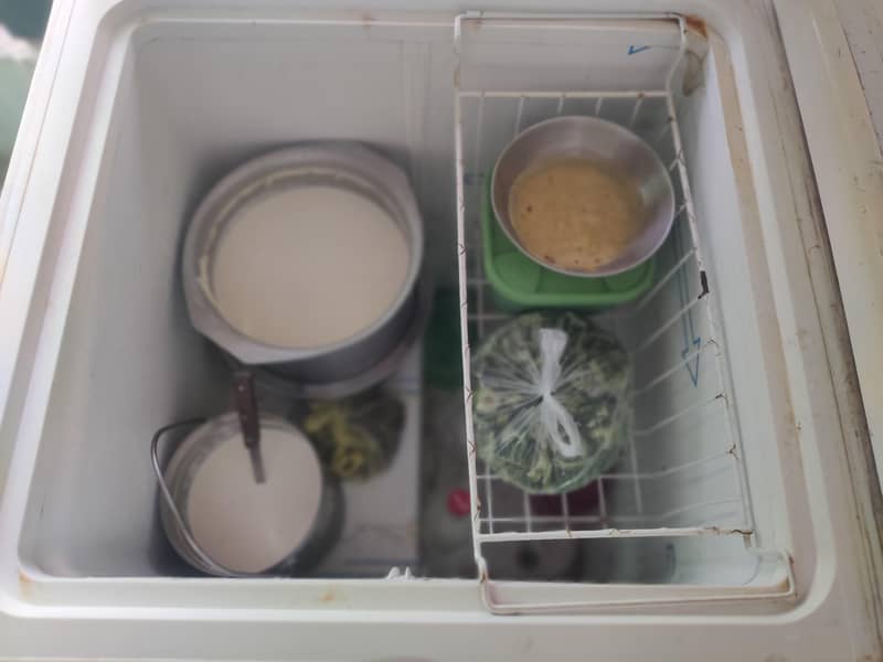 Deep freezer 4