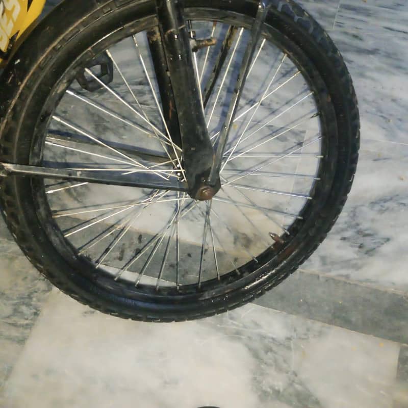 cycle 2