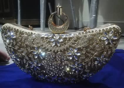 Ladies Bridle Clutch for Sale