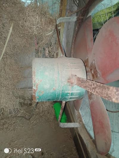 lahori air color