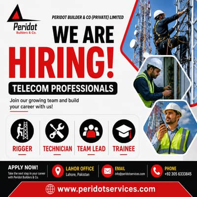 Telecom Technicians, Riggers, Team Lead, and Trainee