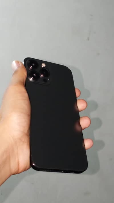 Apple iPhone 13 Pro Max