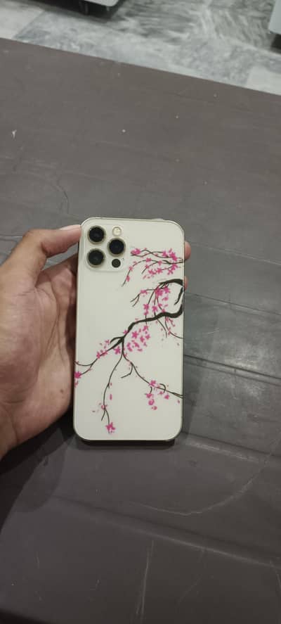 Apple iPhone 12 Pro