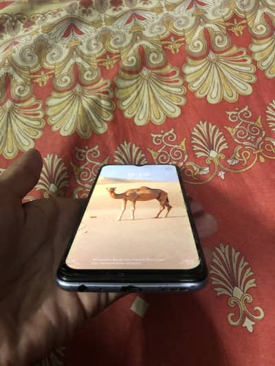 Vivo Y20