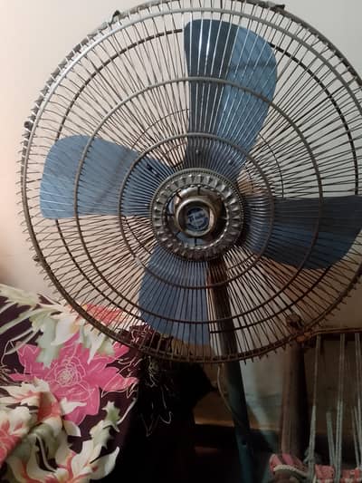 Royal Pedestal Fan for Sale
