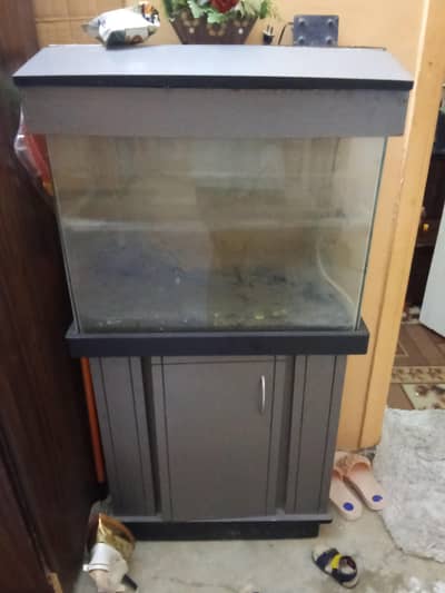 Fish Aquarium