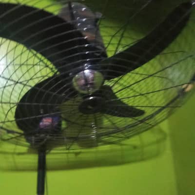 new ha belkul